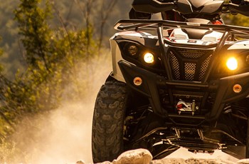 Access AMX 6.46 Basic 2017 - Bild 5